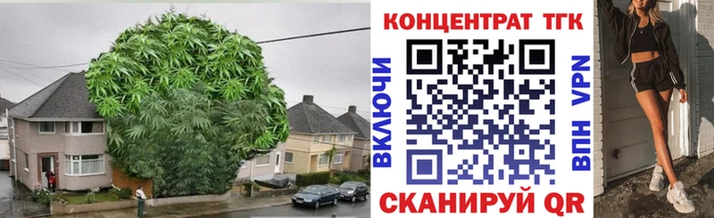 наркота  Вяземский  МЕГА   ТГК Wax 