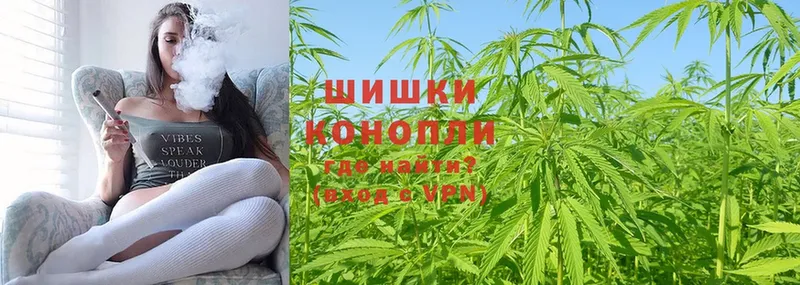 ссылка на мегу вход  Вяземский  Бошки Шишки THC 21% 